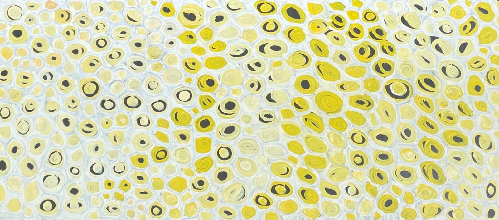 Amanda Jane Gabori, Kuru - Catfish Eggs, 2011