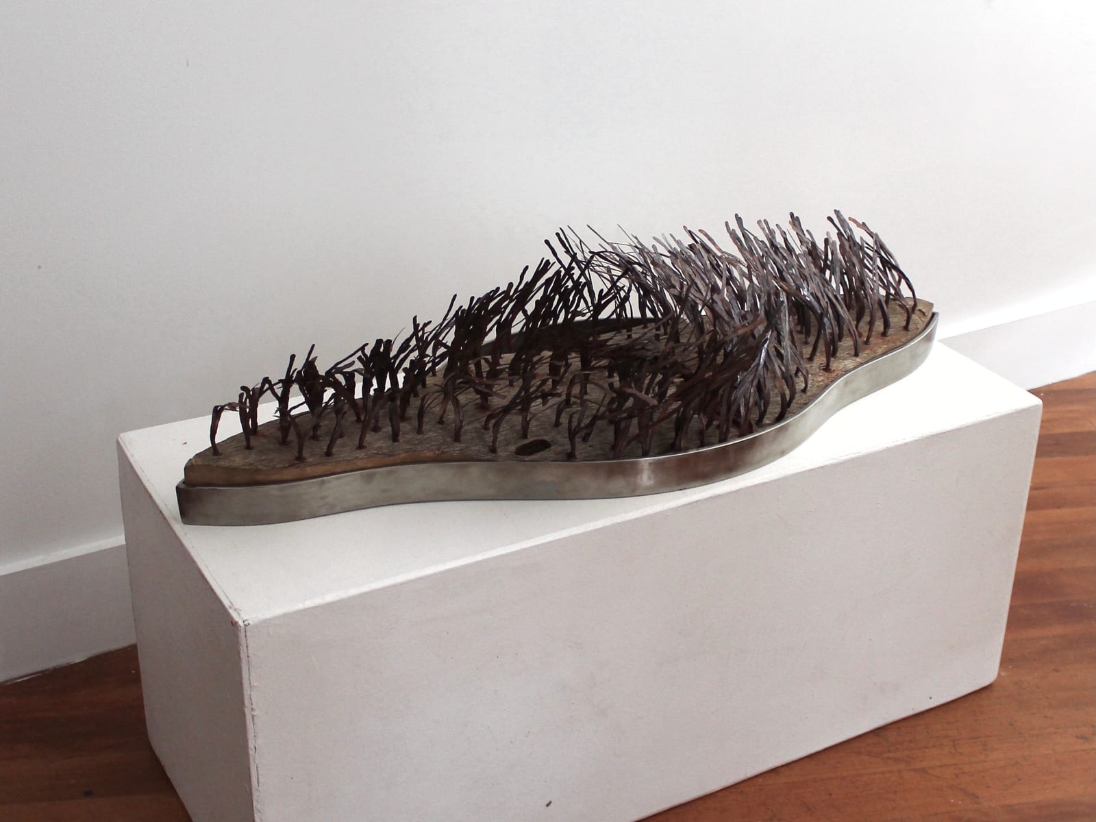 Dominic White, Shield Reef, 2016