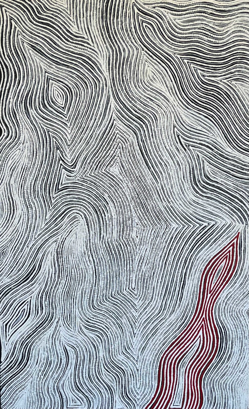 Elsie Napanangka Granites, Janyinka Jukurrpa, 2012