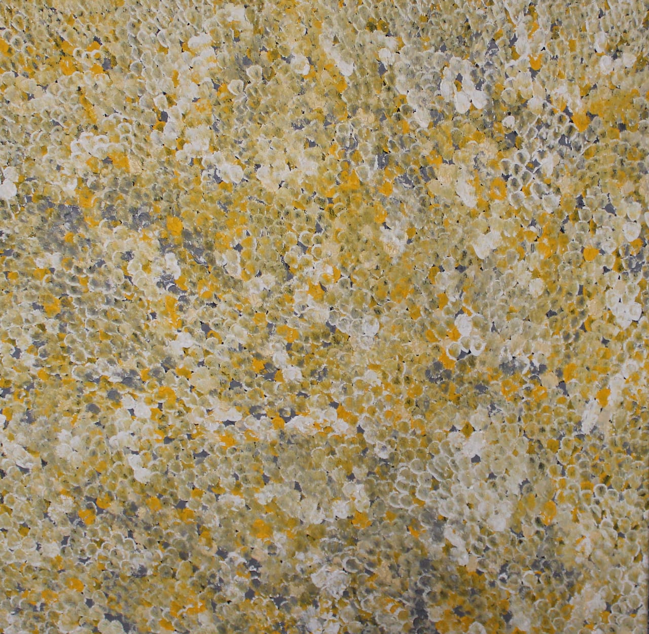 Belinda Golder Kngwarreye, Bush Plum, 2021