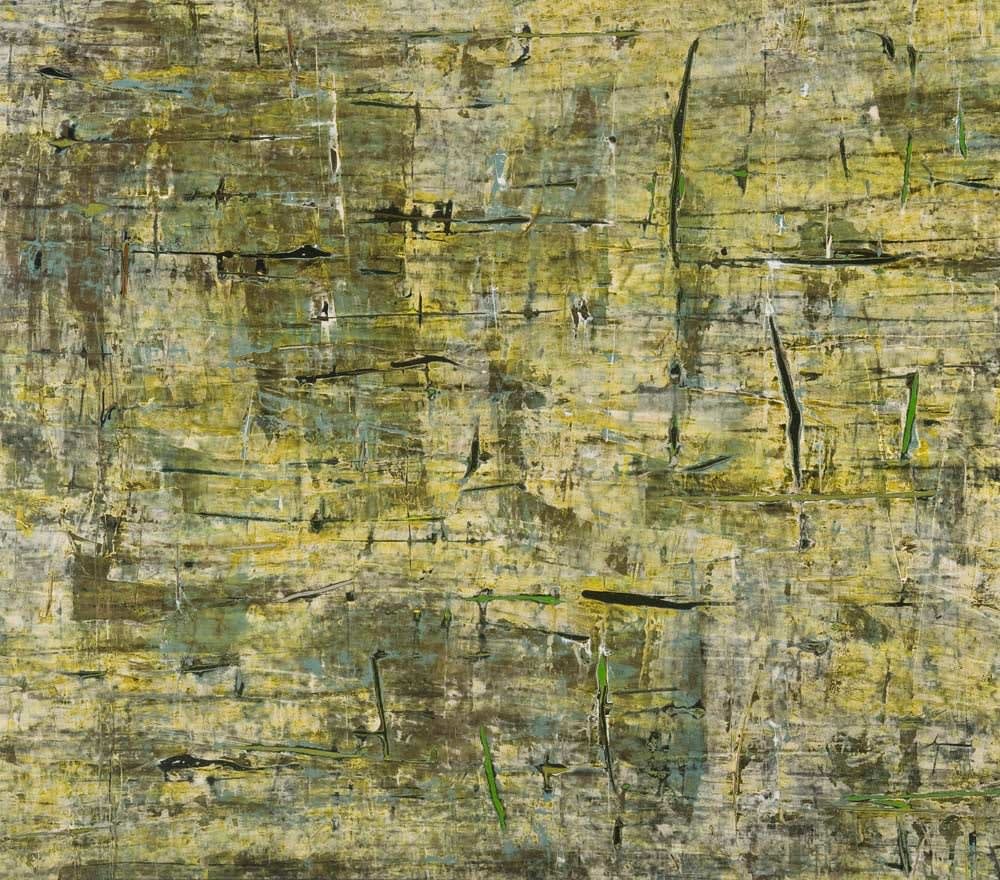 Claudine Marzik, Far North