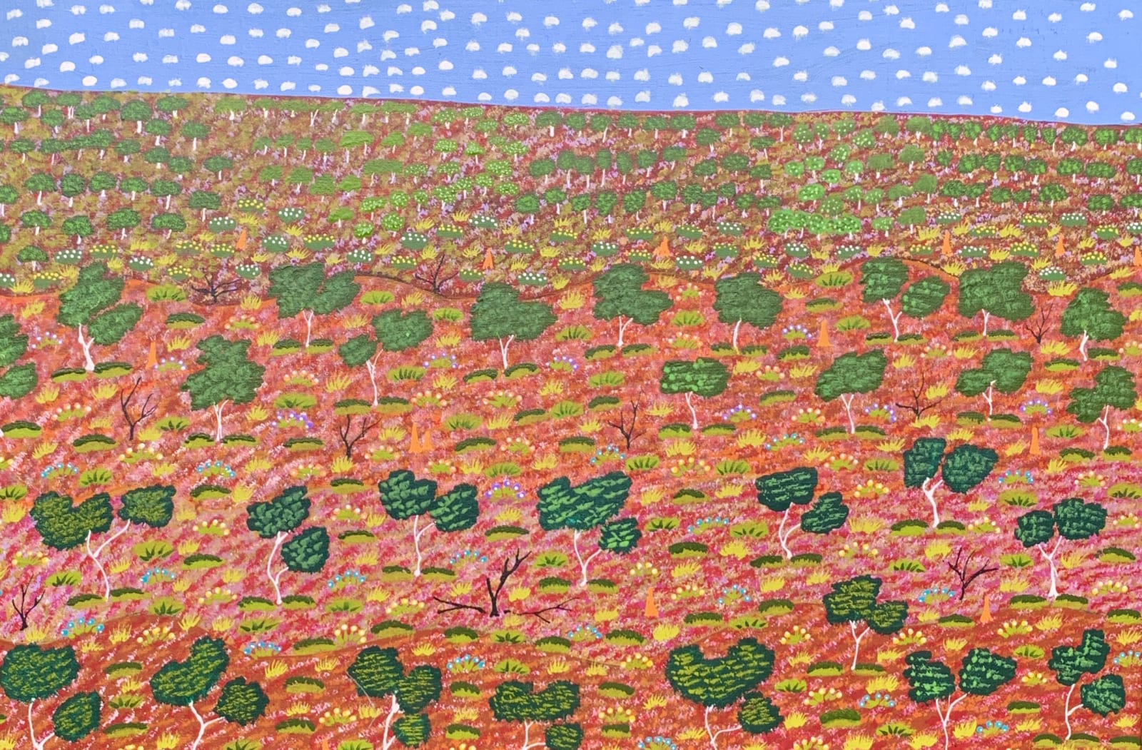 Lulu Pitjara Teece, My Father's Country - Seed Dreaming, 2021