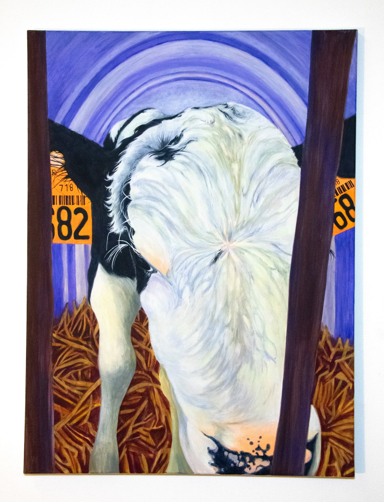 Clémentine Taupin, Veau Bouclé (1), 2025