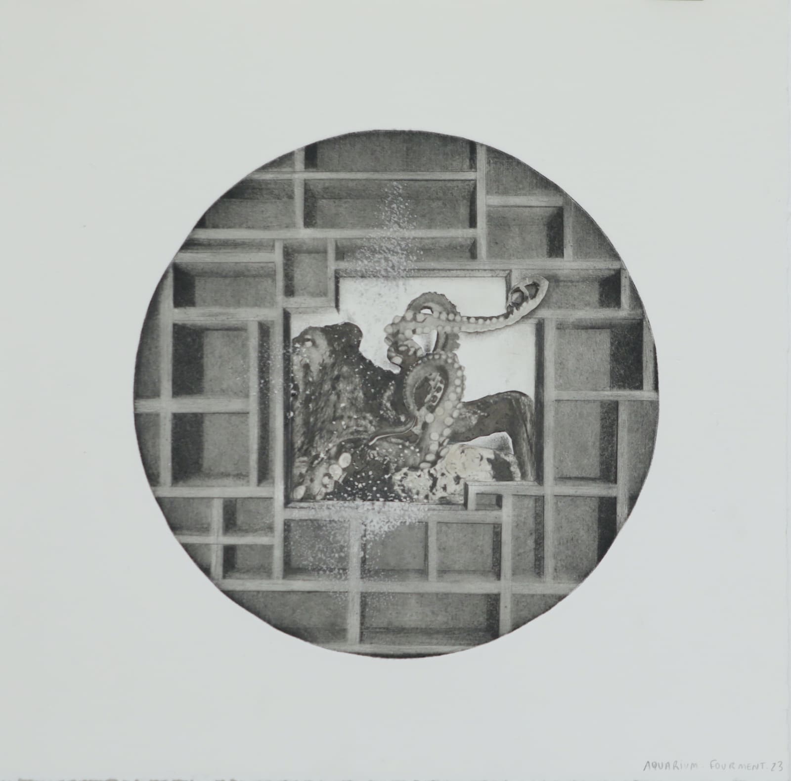 Clément Fourment, Tondo Aquarium, 2023