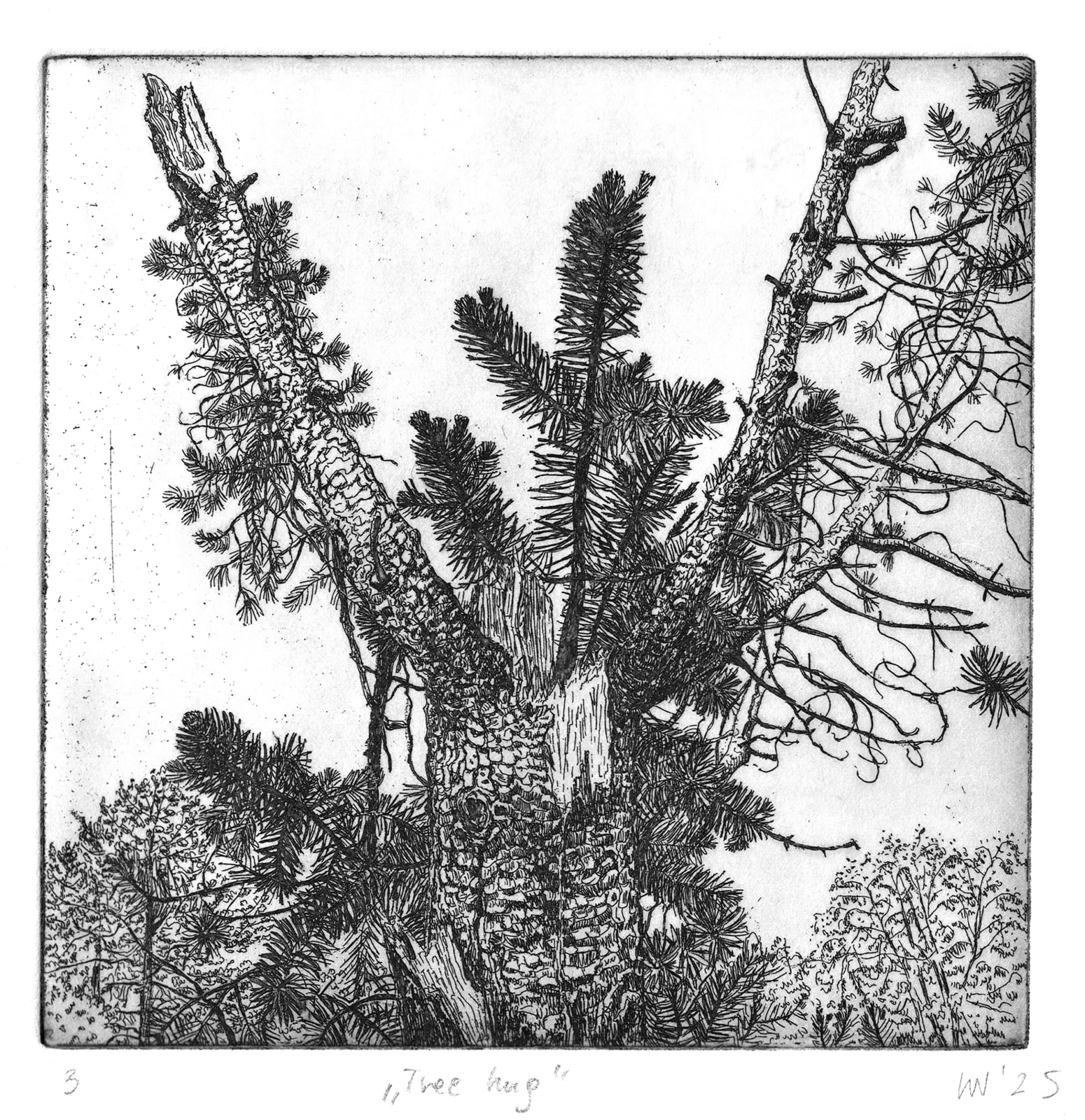 Wieslawa Nowicka, Tree Hug (Câlin de l'arbre), 2025