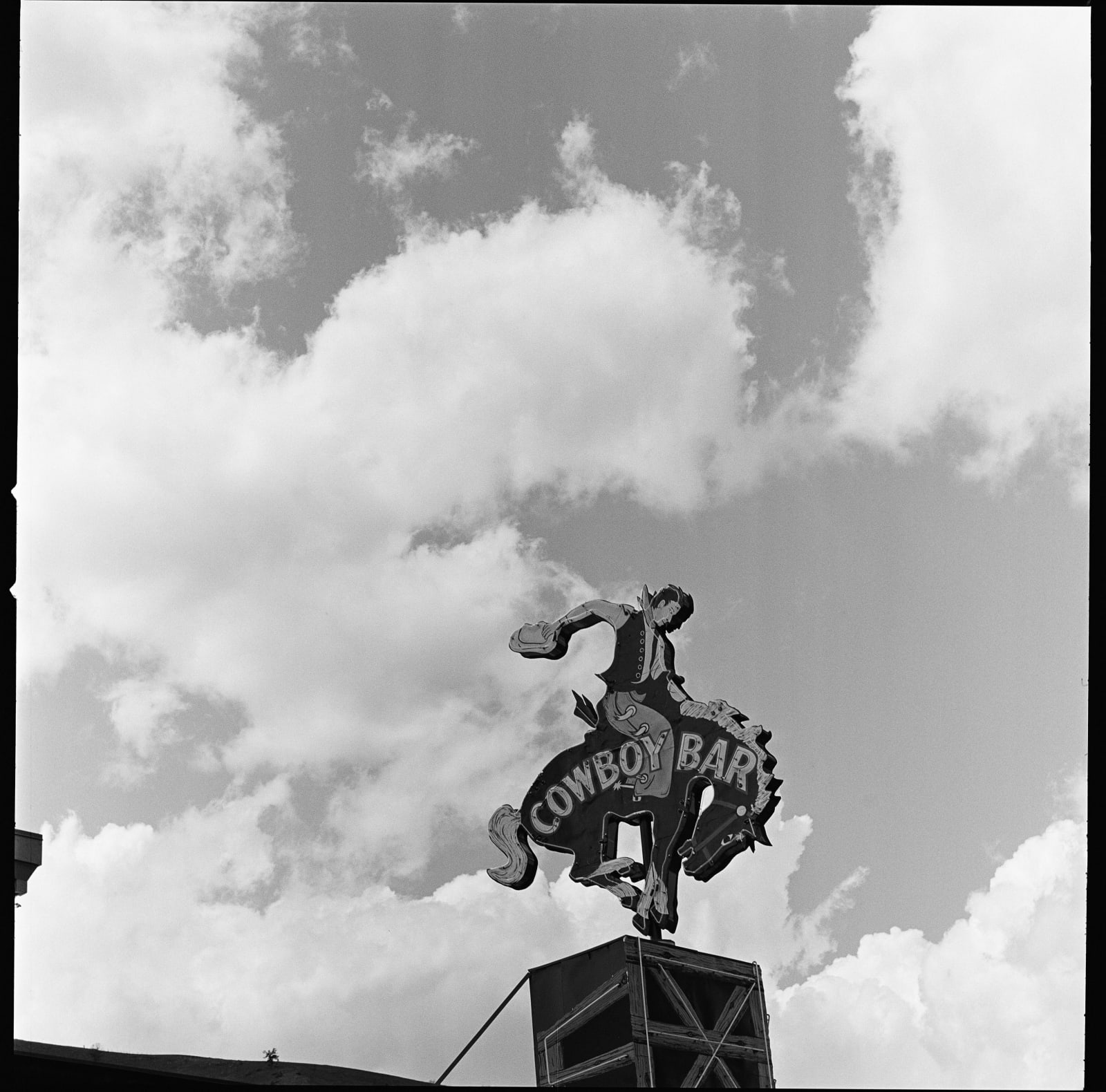 Christopher Lowell, Cowboy Bar, 2020