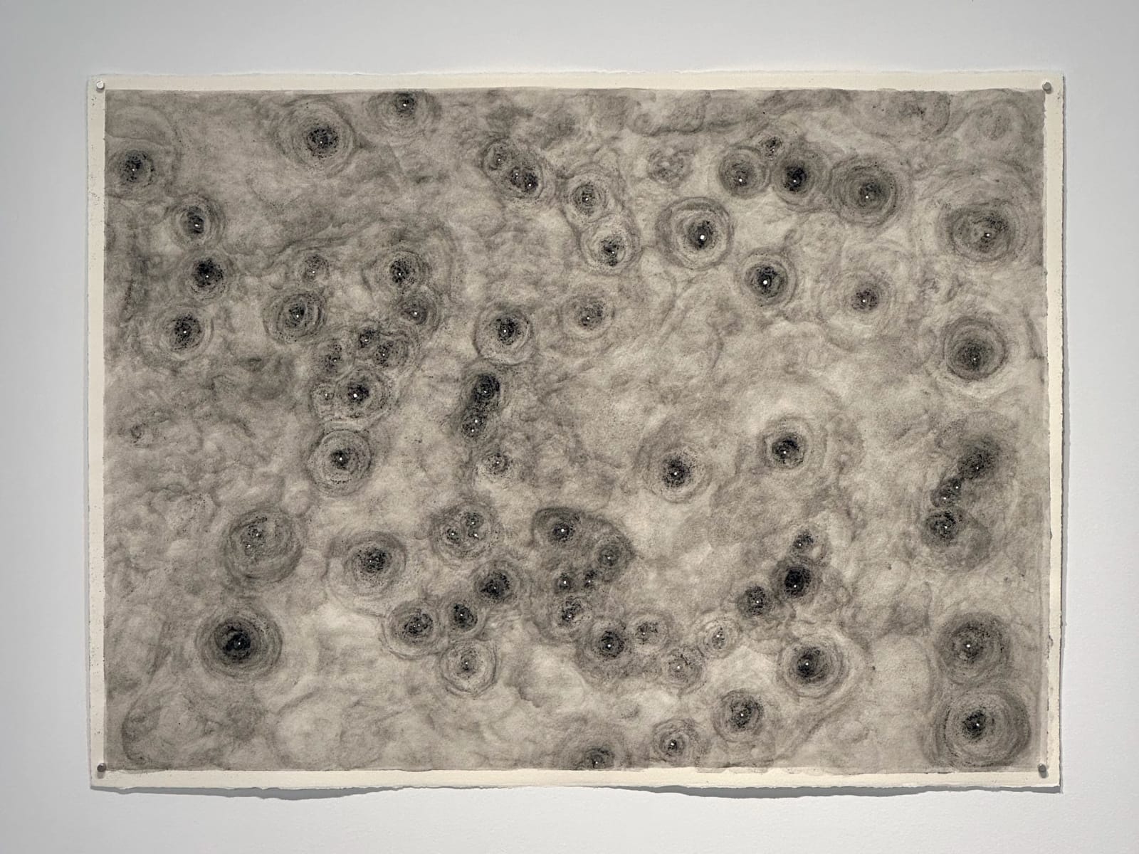 Audie Murray, The Stars in Our Bones, 2025