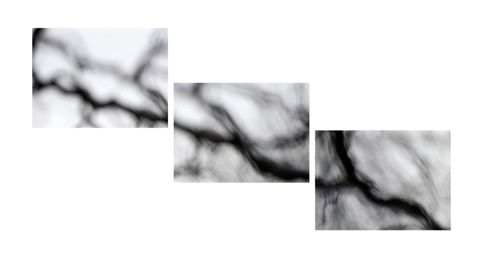 Rosie Reed Gold, Wood for the trees 2, 2014