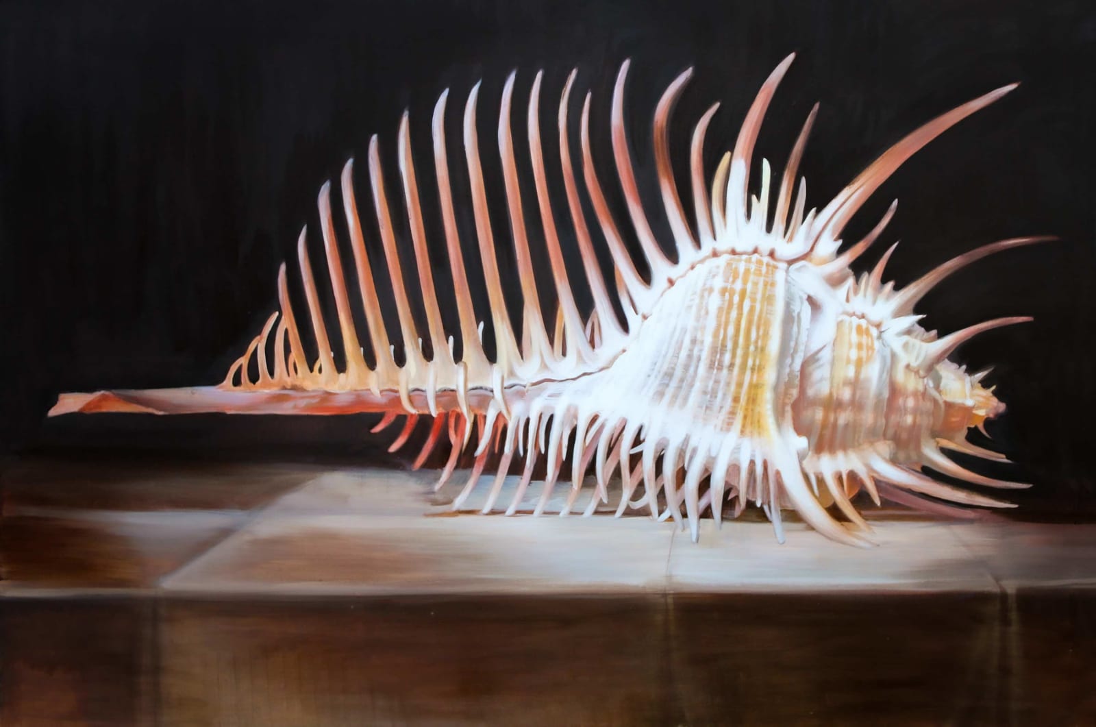 Baroque Anarchist, The Shell, 2024