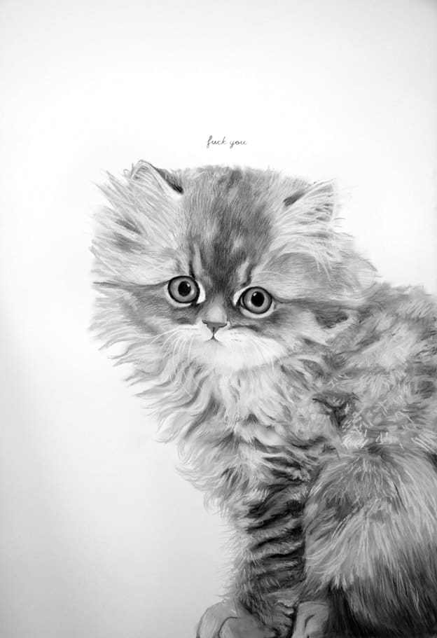 Lucy SM Johnston, Doll-face Golden Persian Chinchilla kitten, 2014