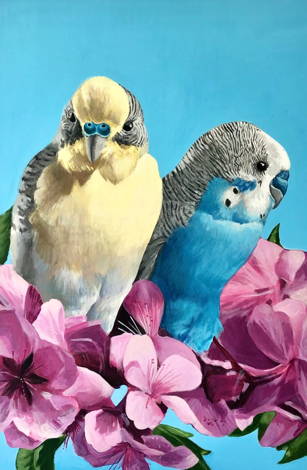 Lucy SM Johnston, Suburban Love Story, 2017