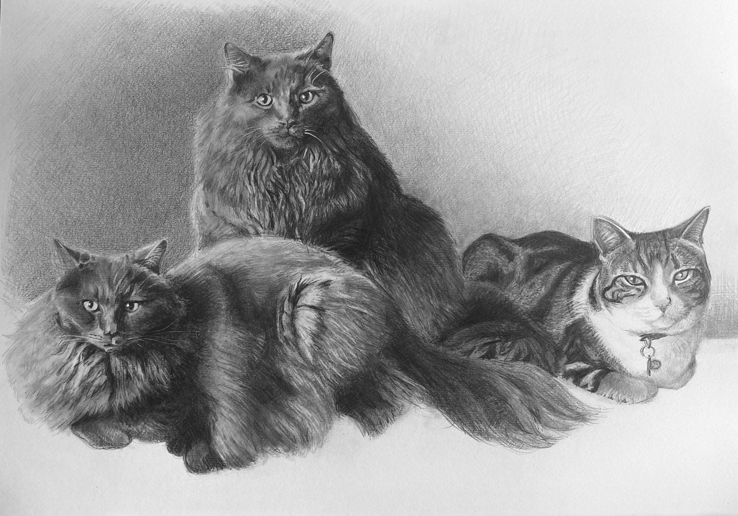 Lucy SM Johnston, Smoke, Bandit and Tiggy, 2021