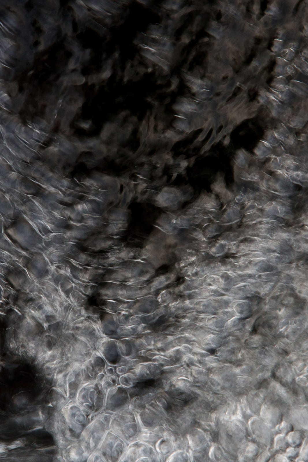 Rosie Reed Gold, Still moving 2, 2014