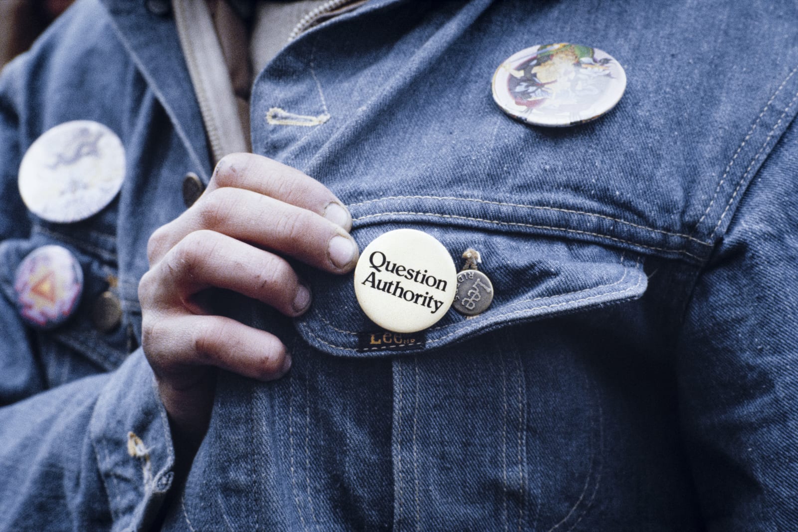 Barbara Alper, Question Authority , 1985