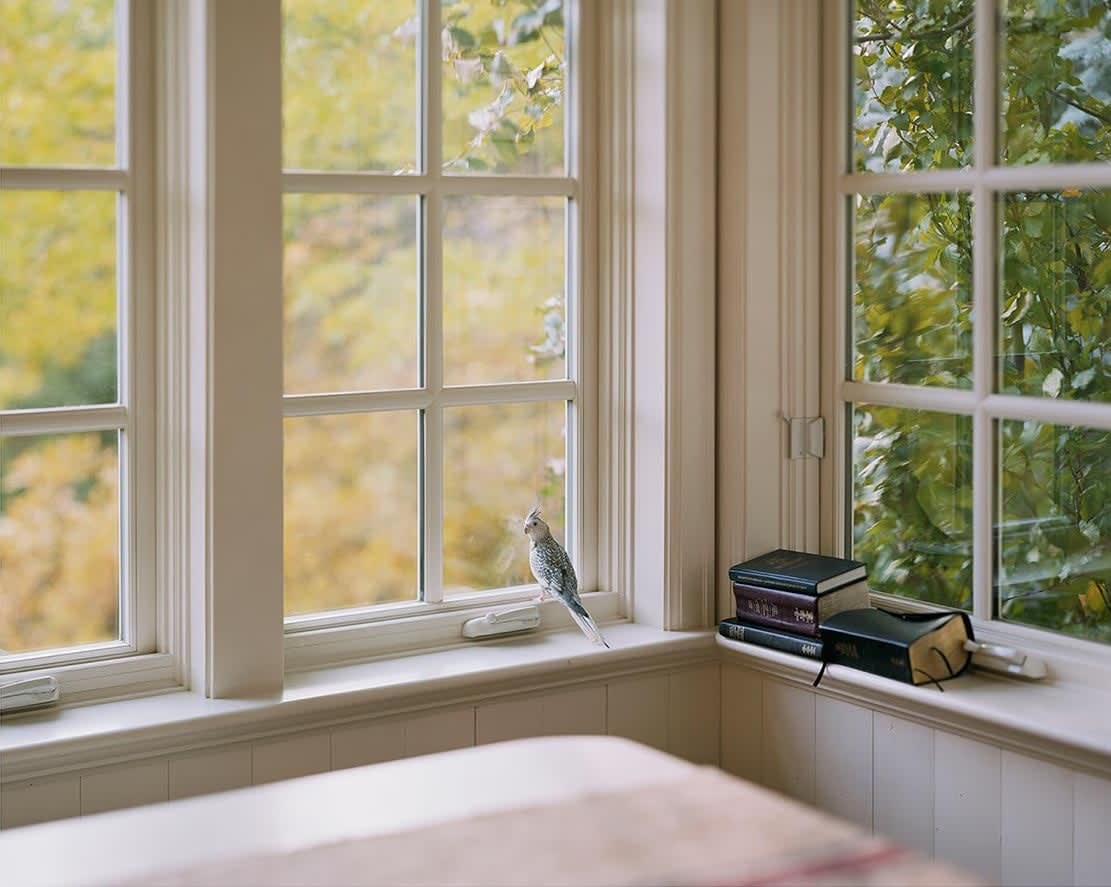 Alec Soth, Cammy’s View, Salt Lake City. 2018, 2021