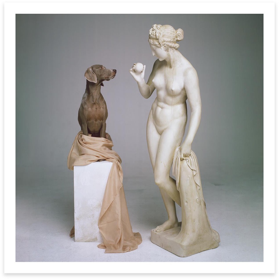 William Wegman, On Base (2007), 2020