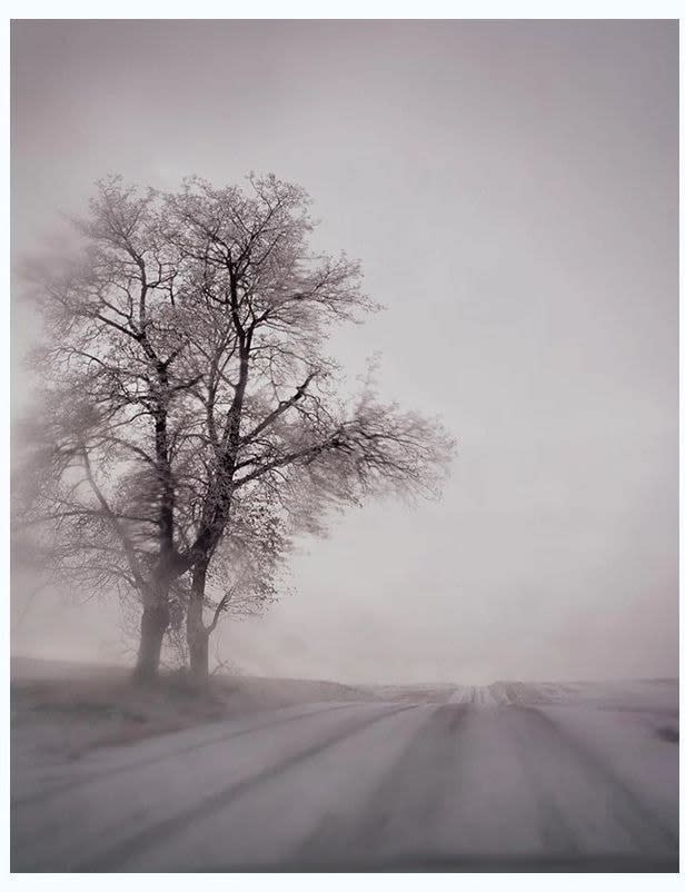 Todd Hido, #9216-B Untitled from the series Excerpts from Silver Meadows, 2022