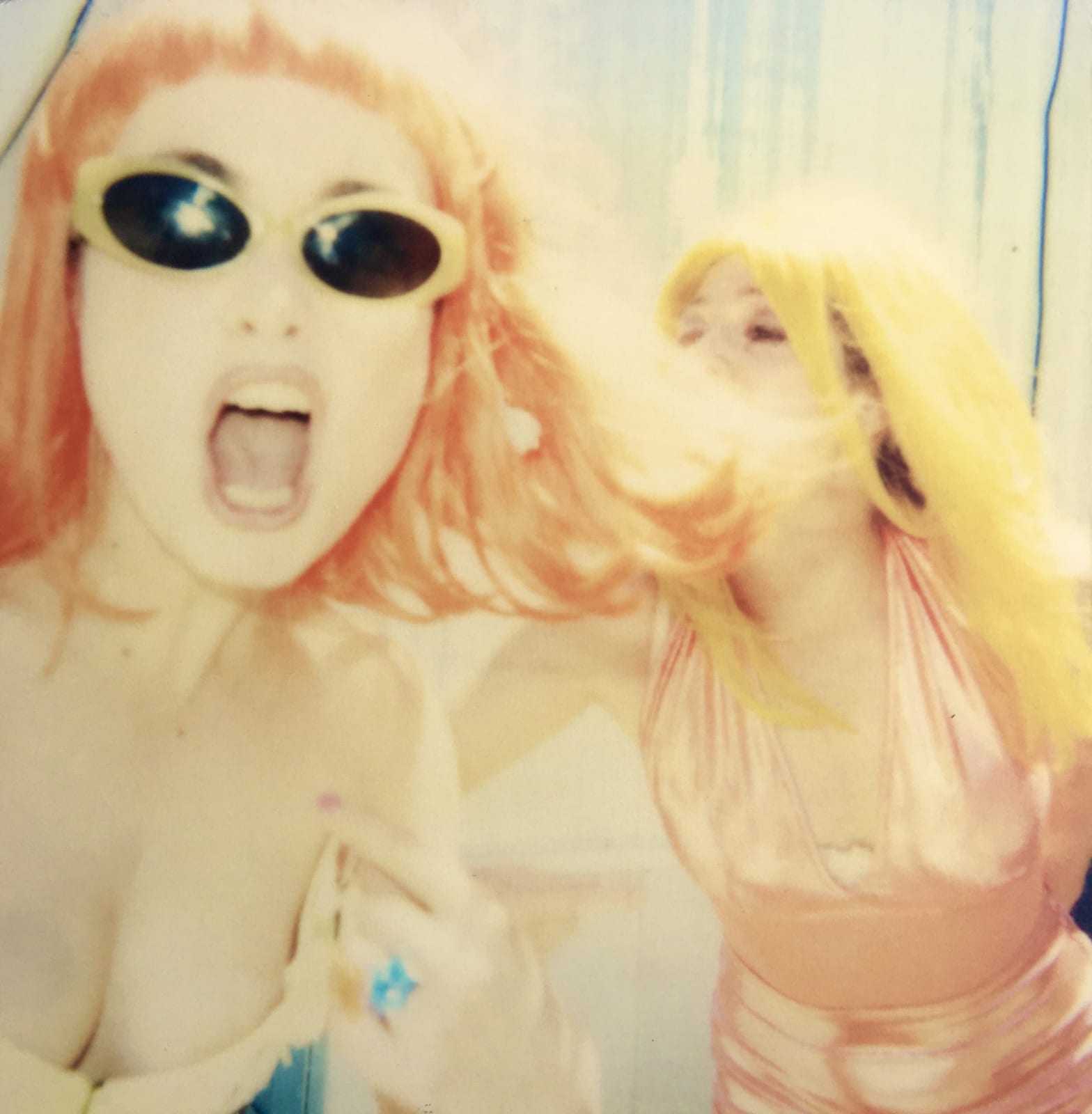 Stefanie Schneider, Radha Screaming (1999), 2004