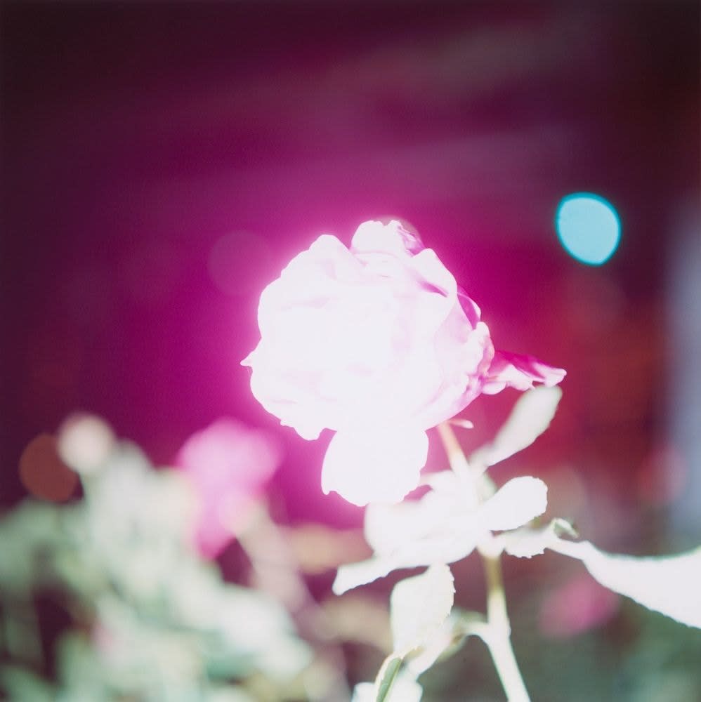 Rinko Kawauchi, Illuminance, 2005