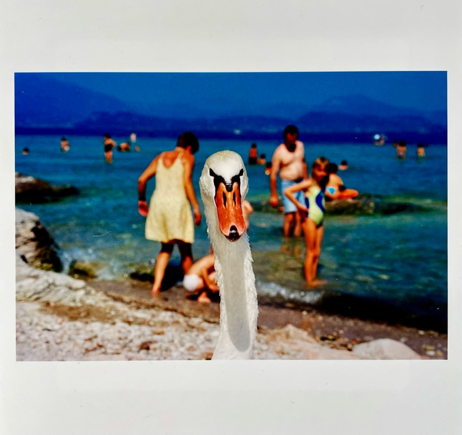 Martin Parr, Lake Garda, Italy 1999, 2024