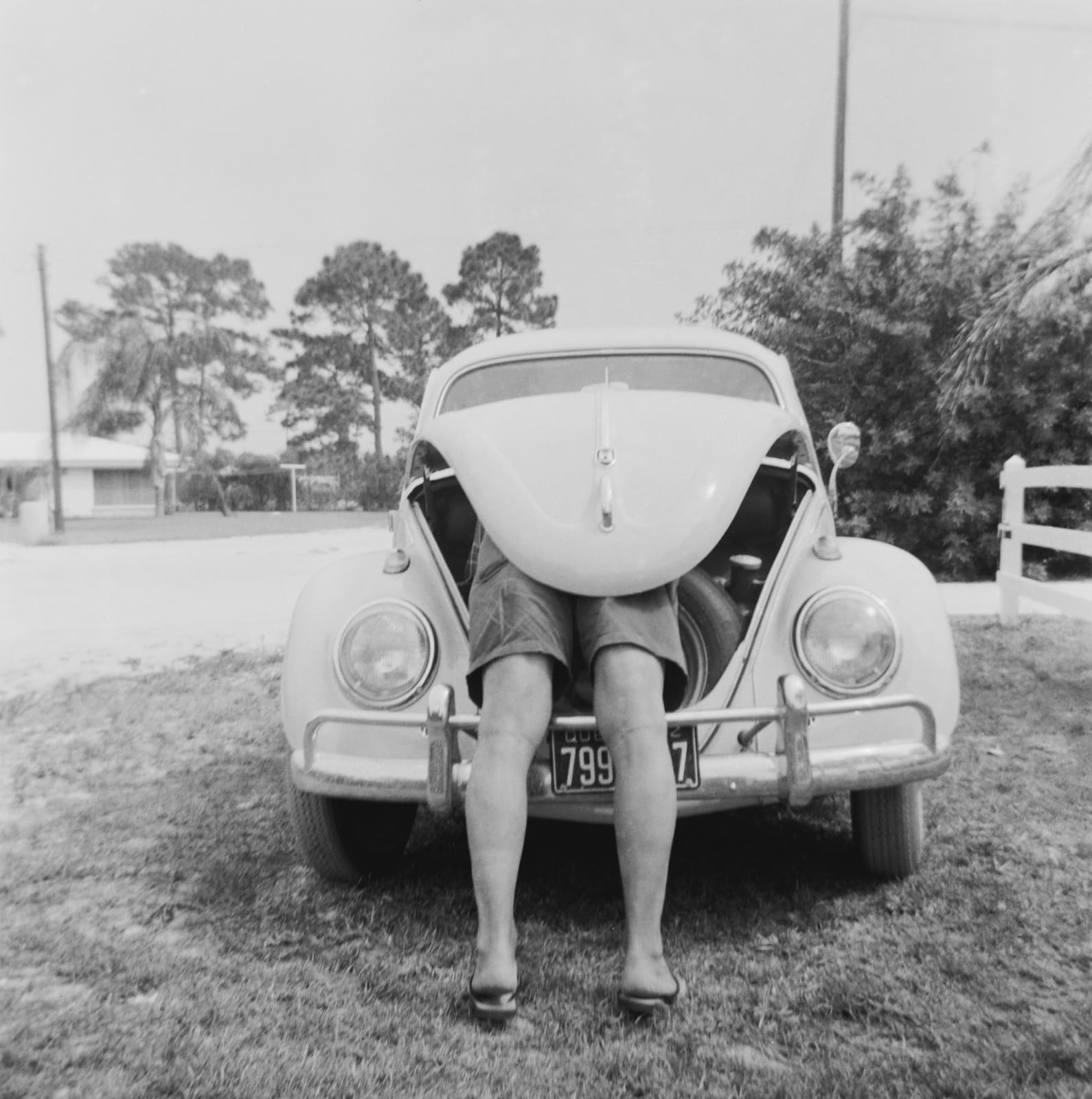 Michael Ochs, VW Beetle, 1962