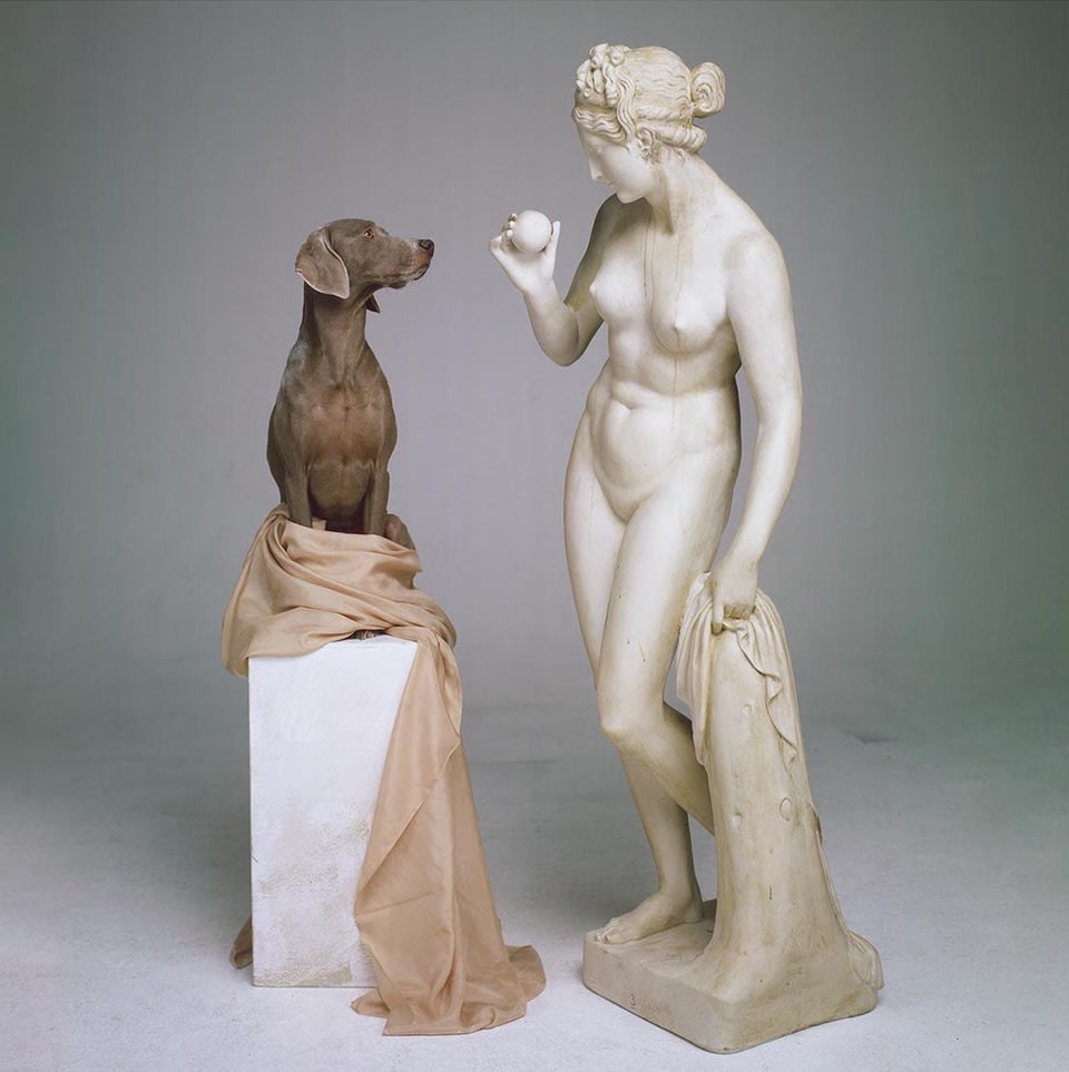 William Wegman, On Base (2007), 2020
