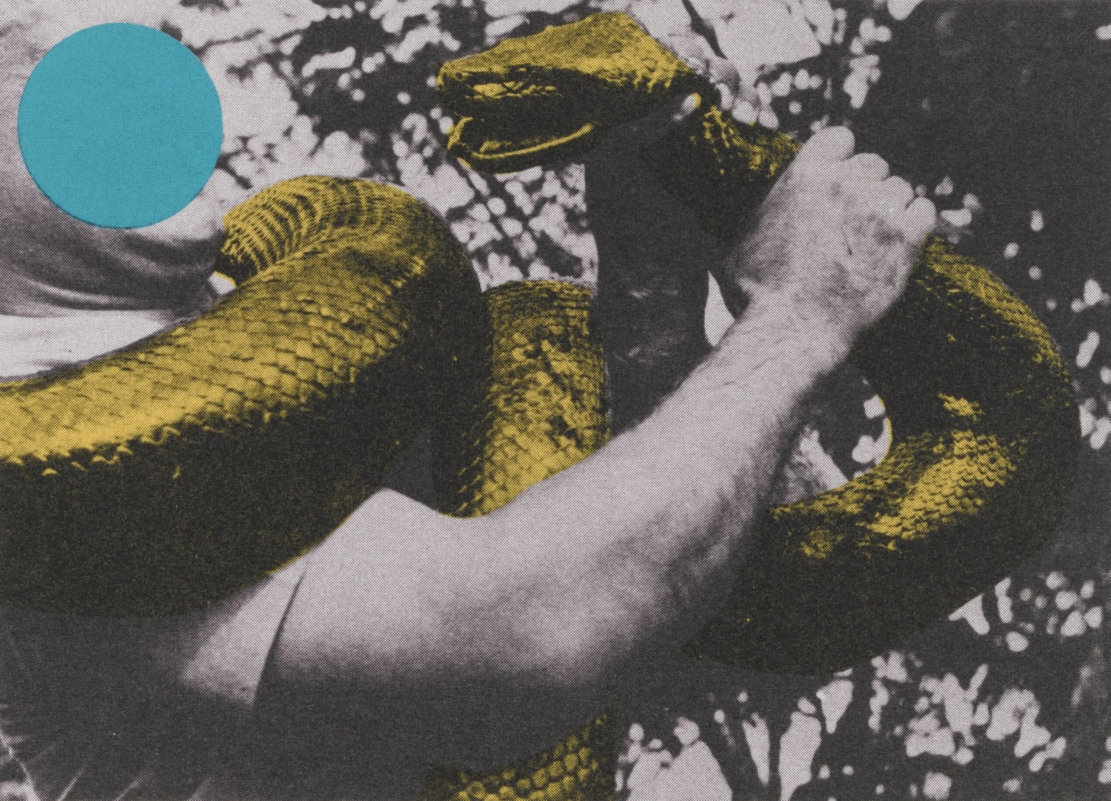 John Baldessari, Man with Snake (Blue and Yellow), 1990