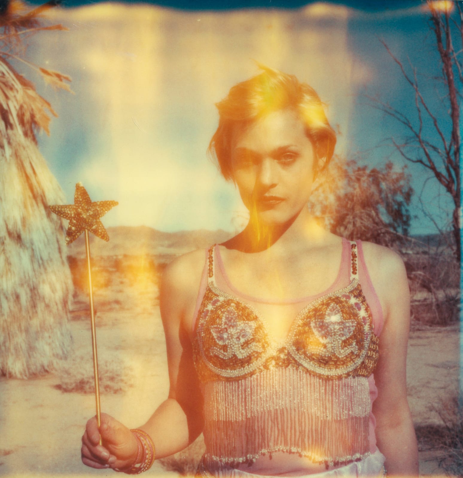 Stefanie Schneider, The Muse, 2009