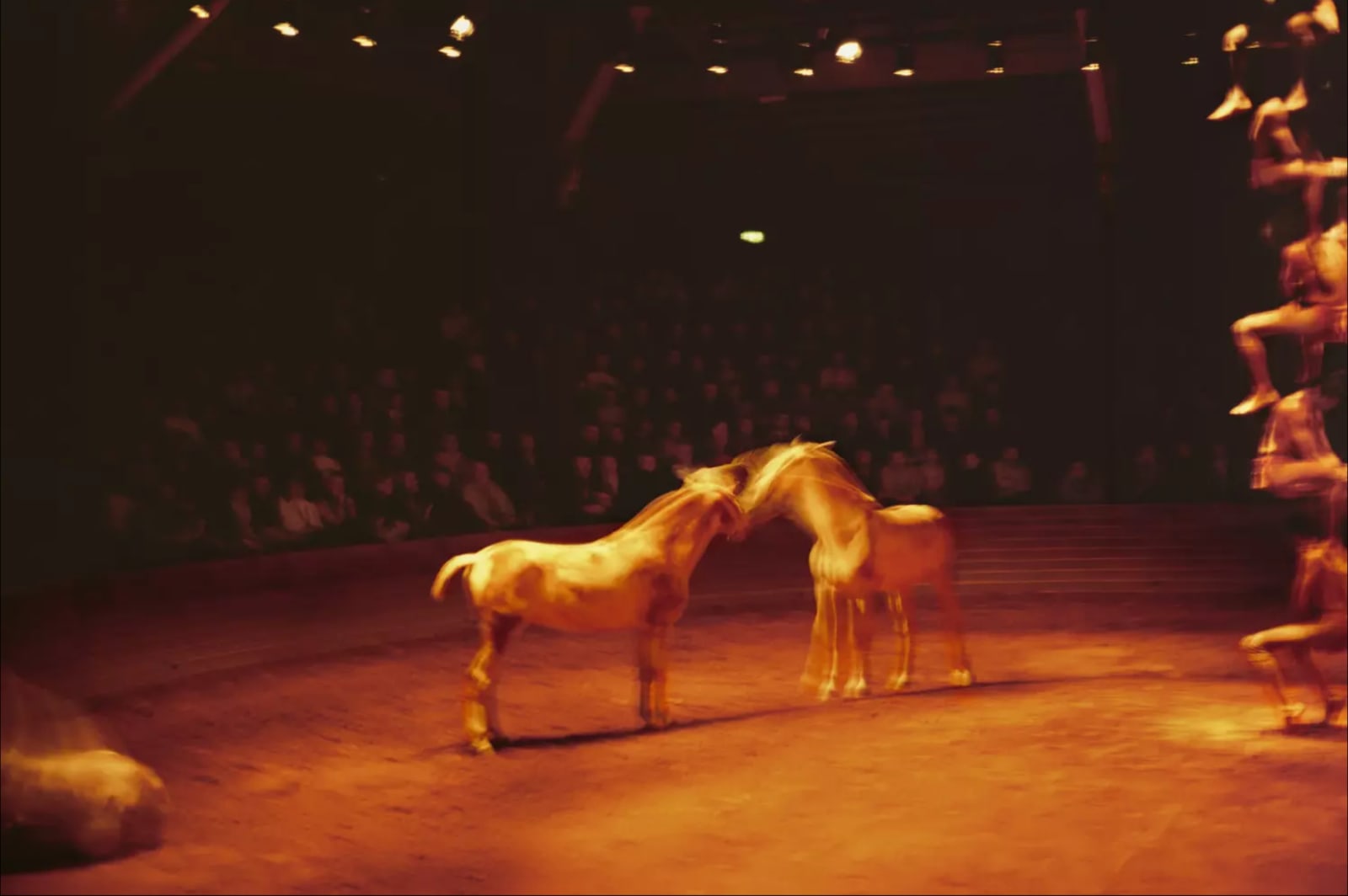 Nan Goldin, Triptyk, Zingaro Equestrian Theater, Paris, 2004, 2025
