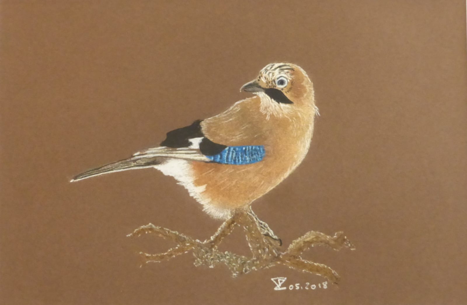 Frédéric Lorne, Geai, 2018