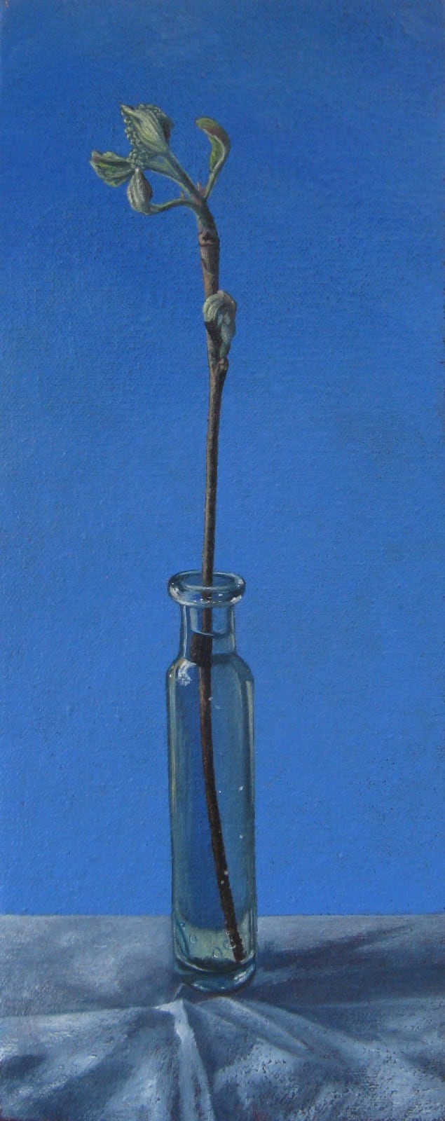 Kim Dewsbury, Rowan Bud in a Slender Bottle