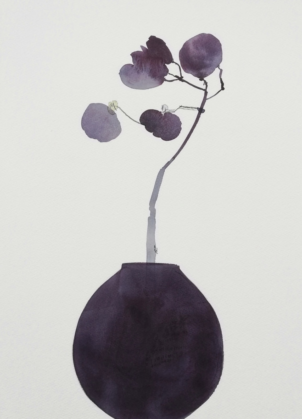 Susan Kane, Zen