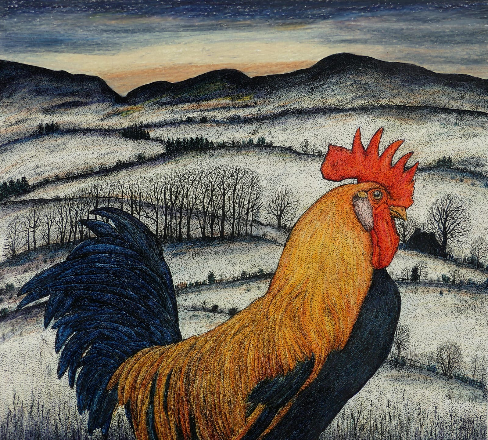 Seren Bell, Cockerel, 2025