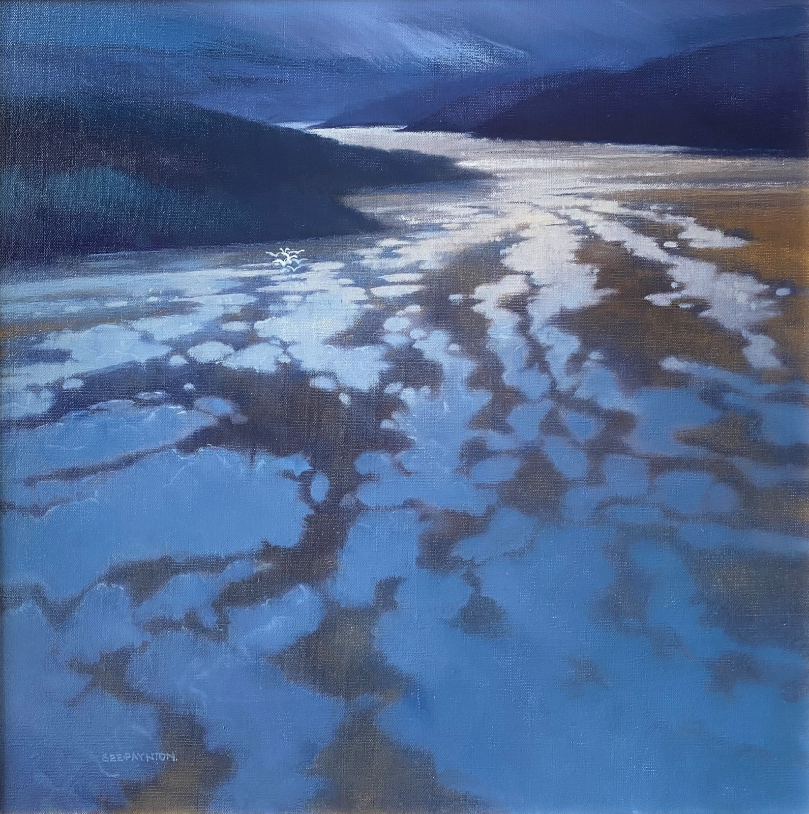 Colin See-Paynton, Ancient Waters I