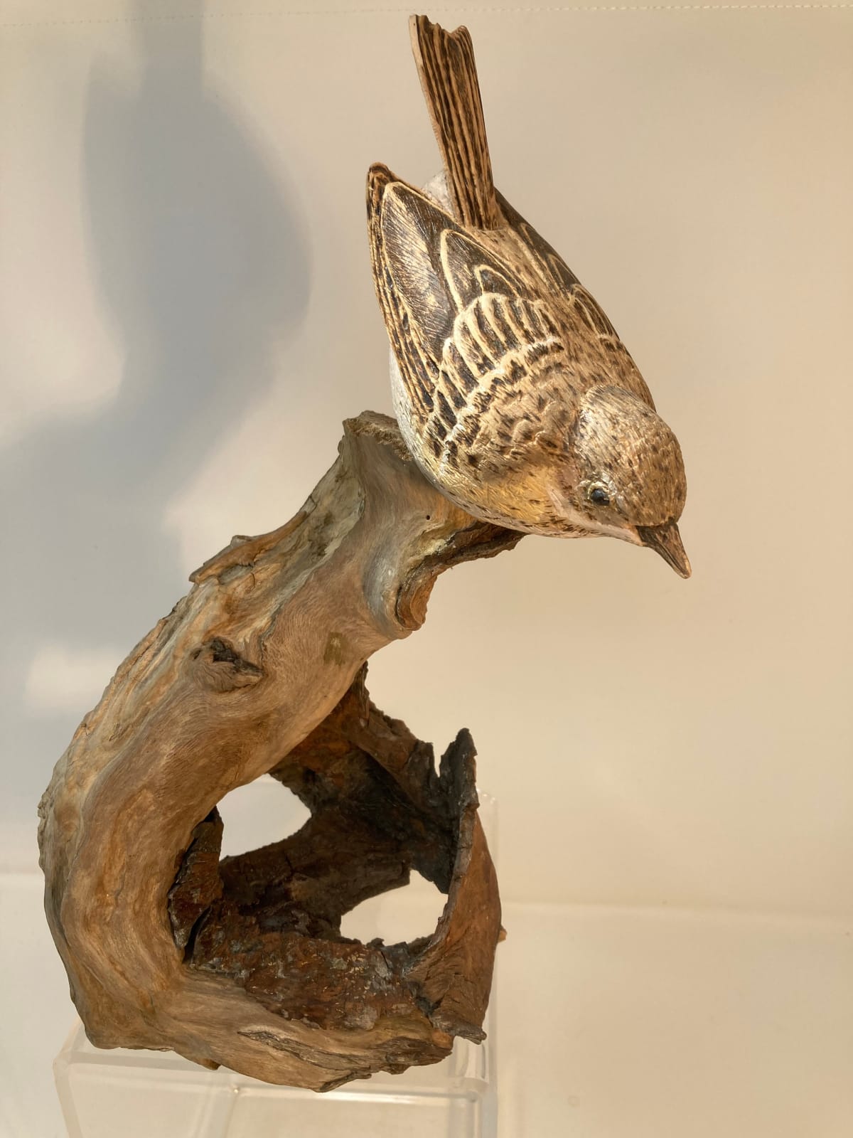 John & Marilyn Davies, Meadow Pipit, 2025