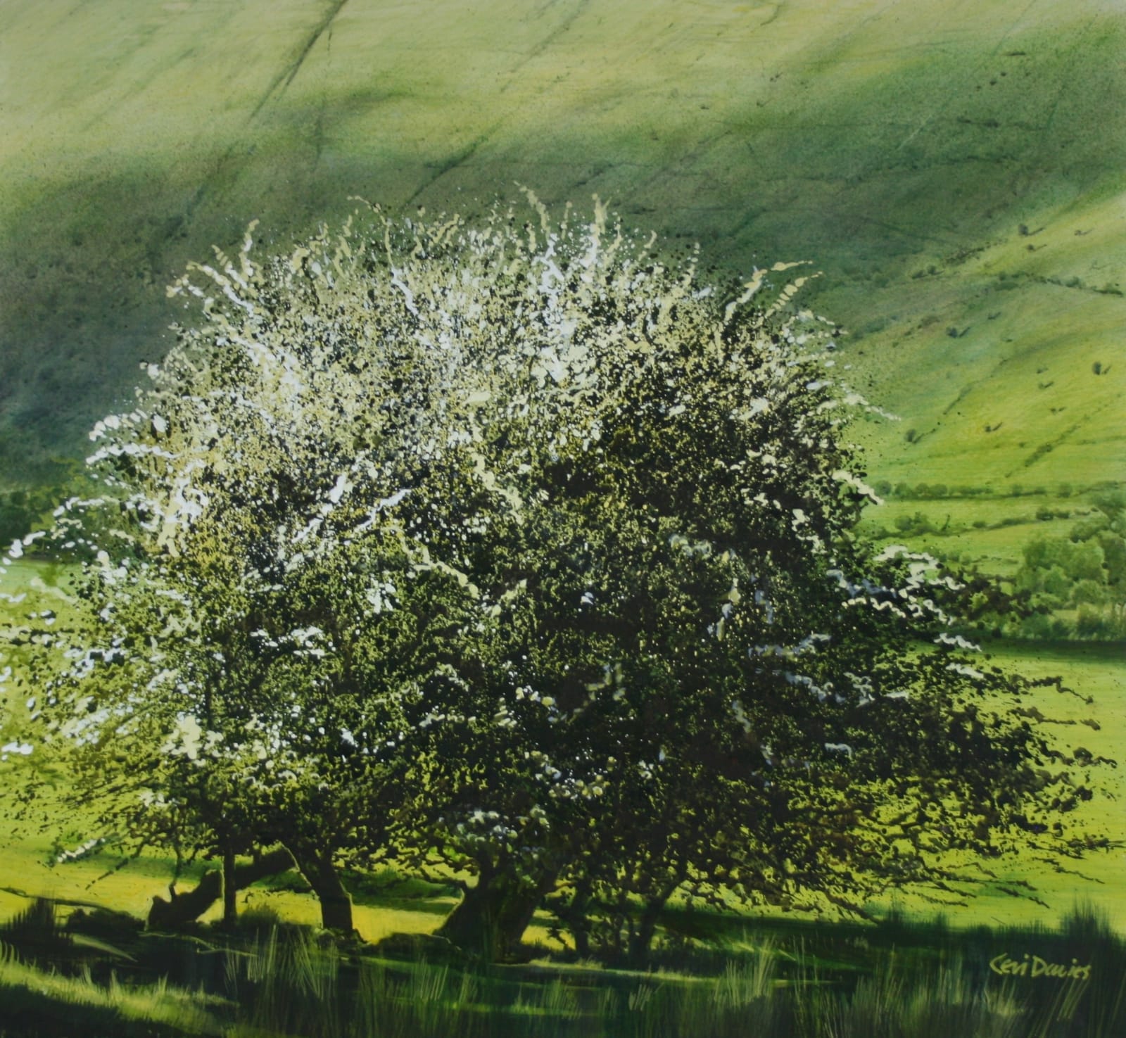 Ceri Auckland Davies, Moving Shadow (Dinas Mawddwy)