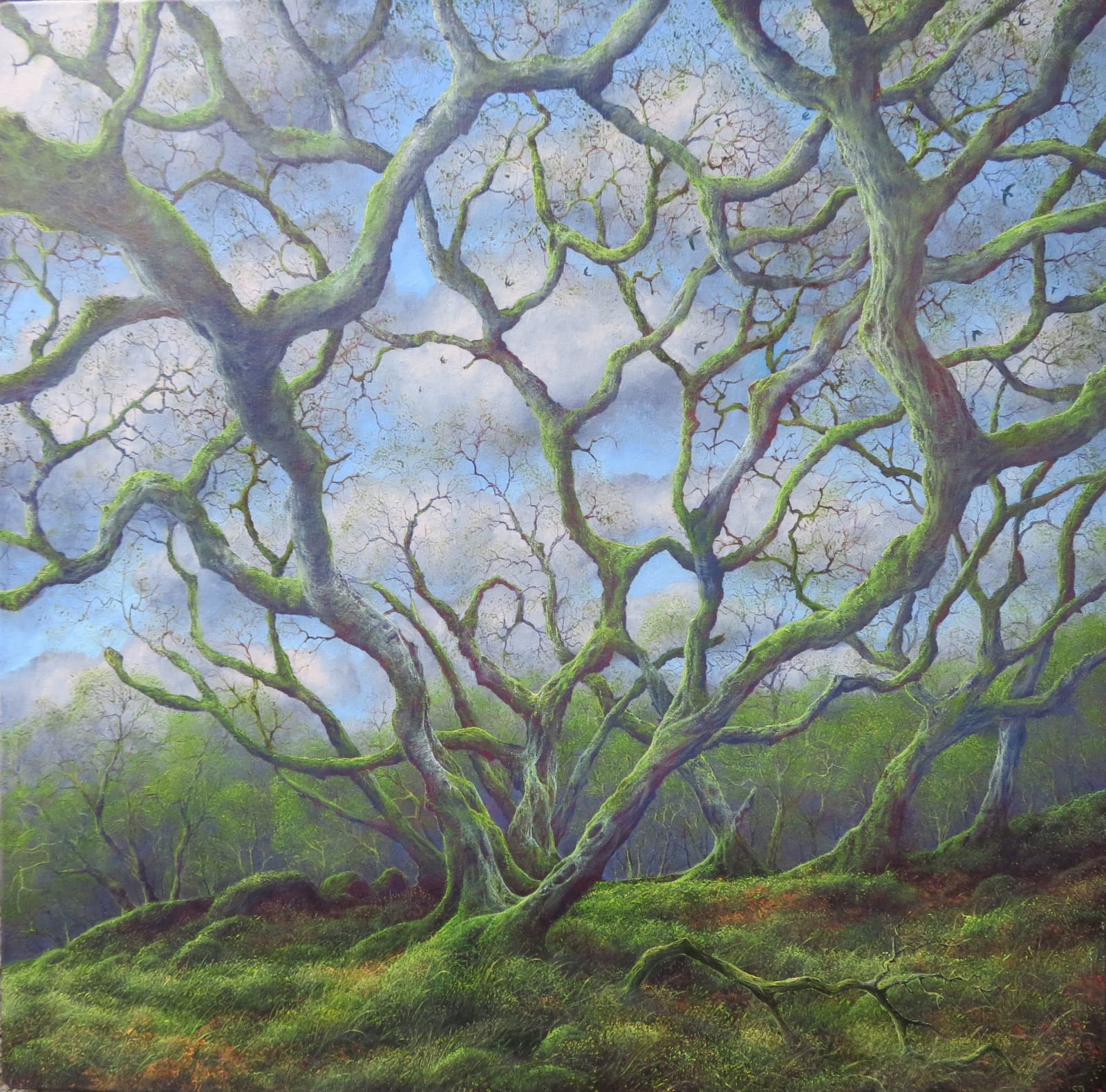 Gerald Dewsbury, The Ravens are Flying, 2025