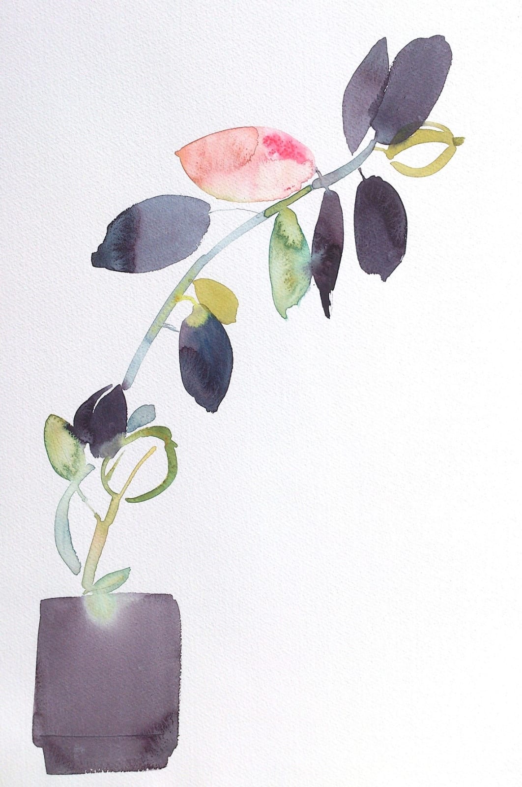 Susan Kane, Peach Tree