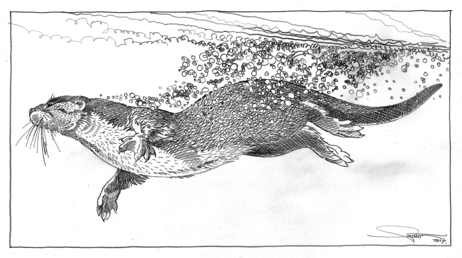 Colin See-Paynton, Otter I