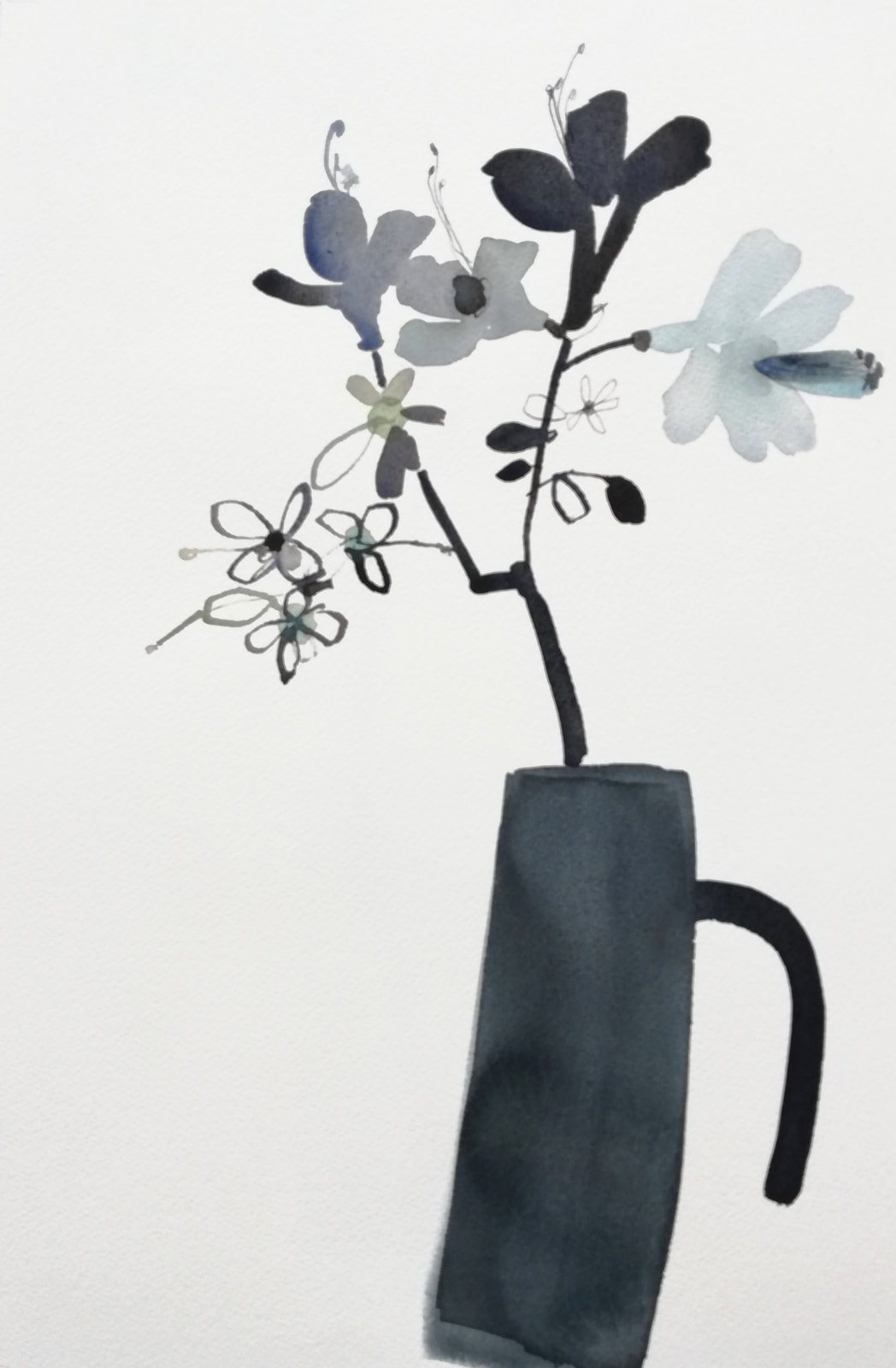 Susan Kane, Kyoto