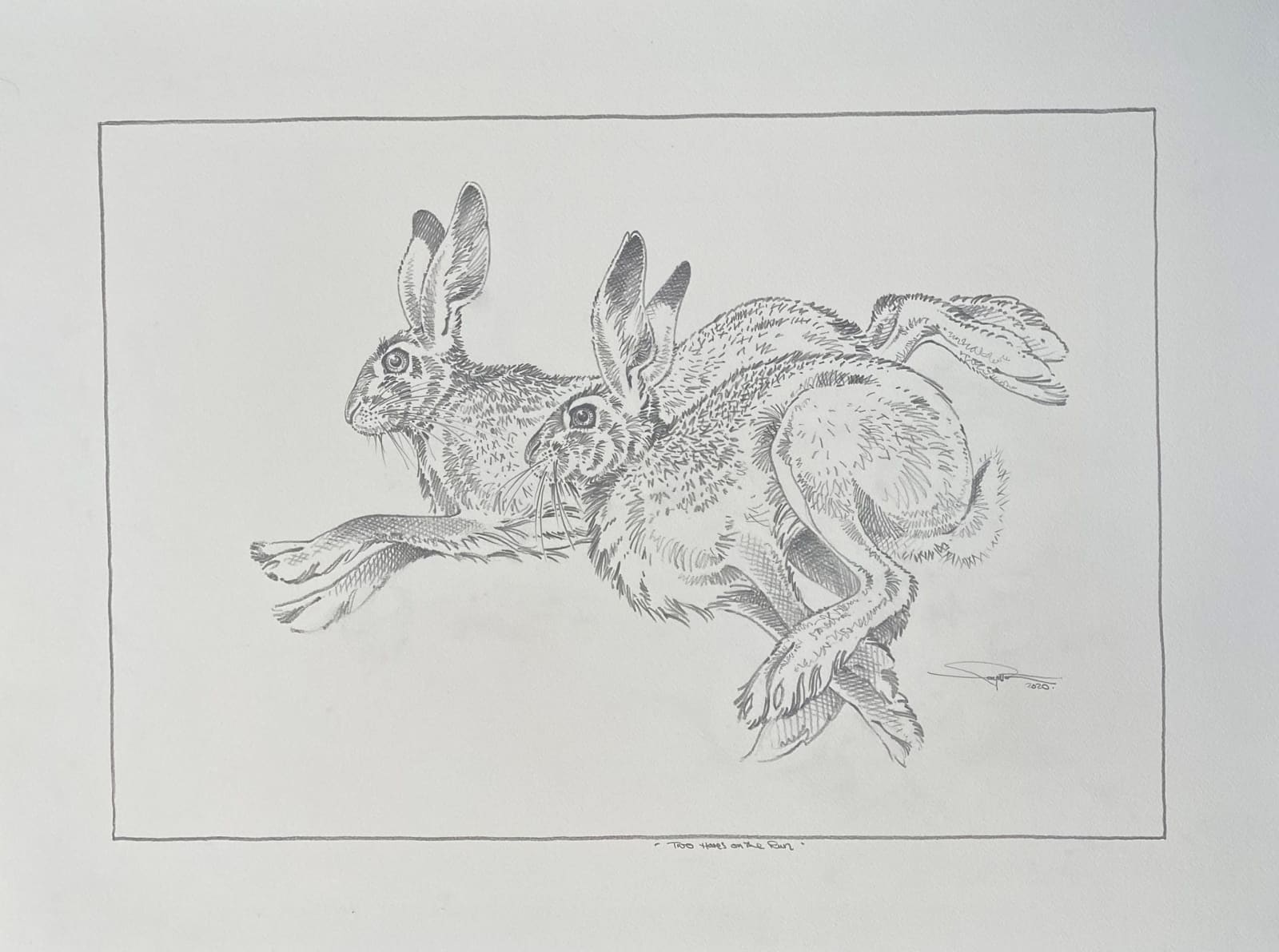 Colin See-Paynton, Two Hares on the Run
