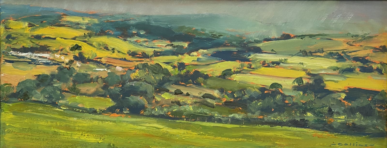 Martin Collins 1941 - 2023, Summer Fieldscape, Conwy Valley, 2022