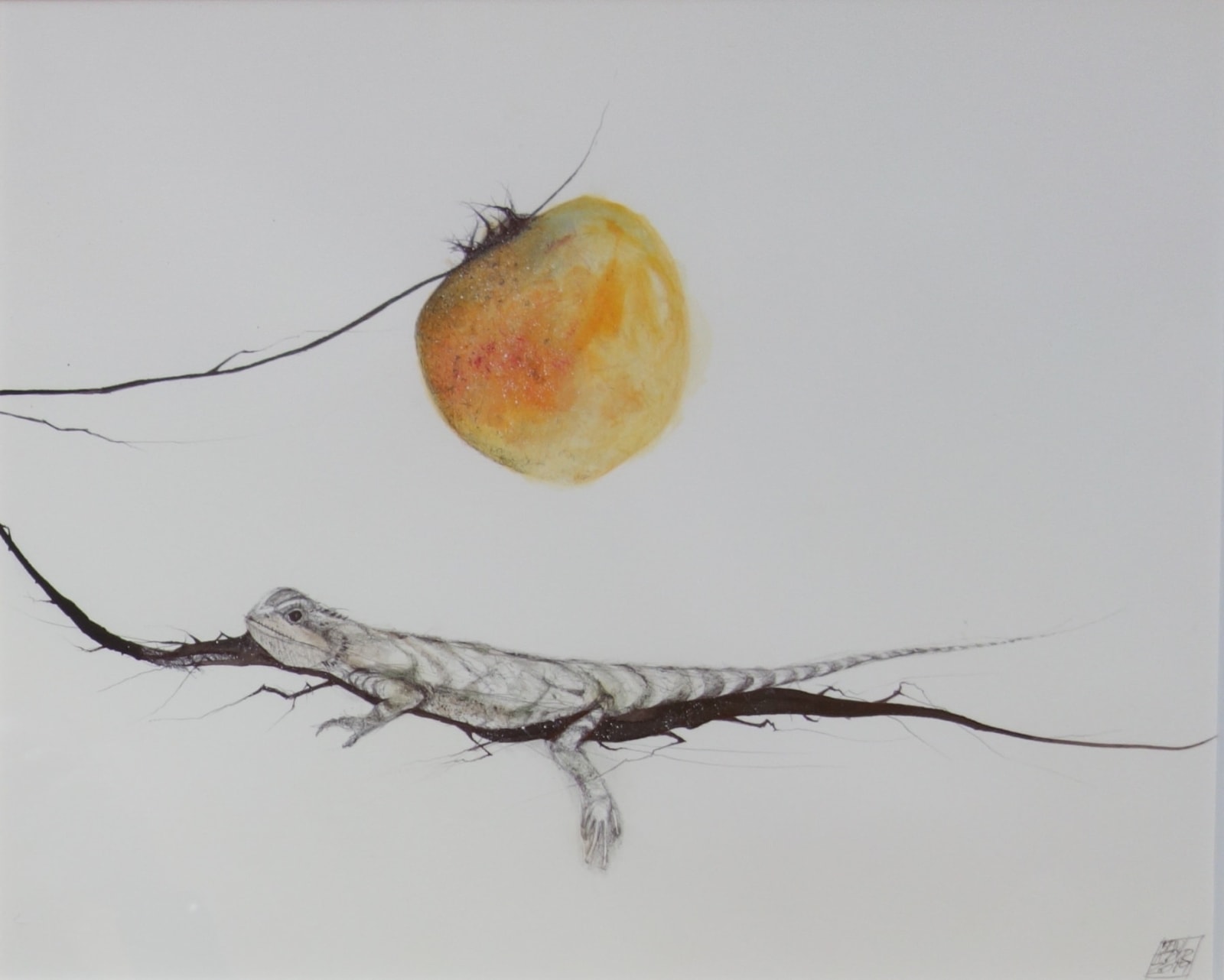 Dewi tudur, Madfall / Lizard