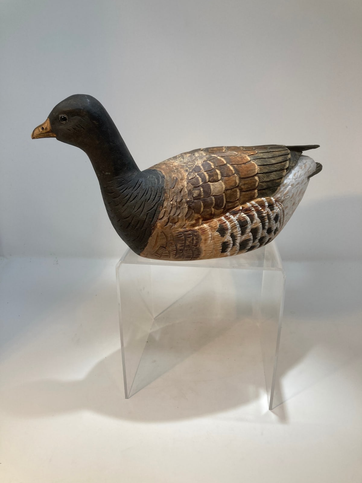 John & Marilyn Davies, Brent Goose, 2025