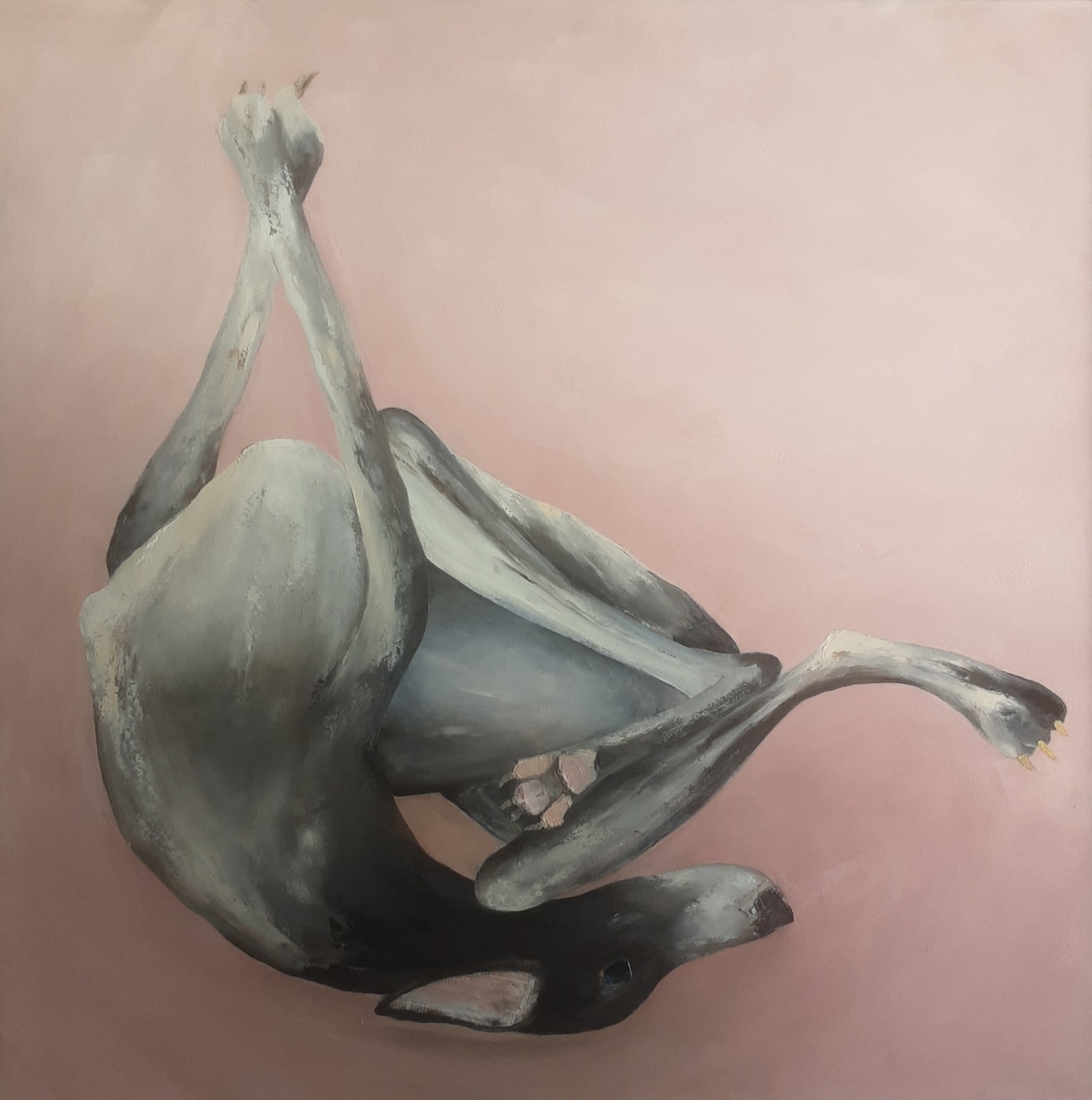 Anna Davies, House of Marcus