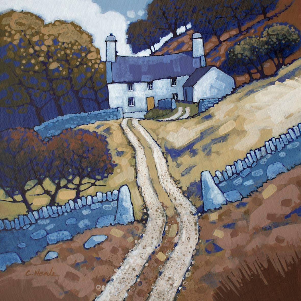 Chris Neale, Tyn y Llwyn