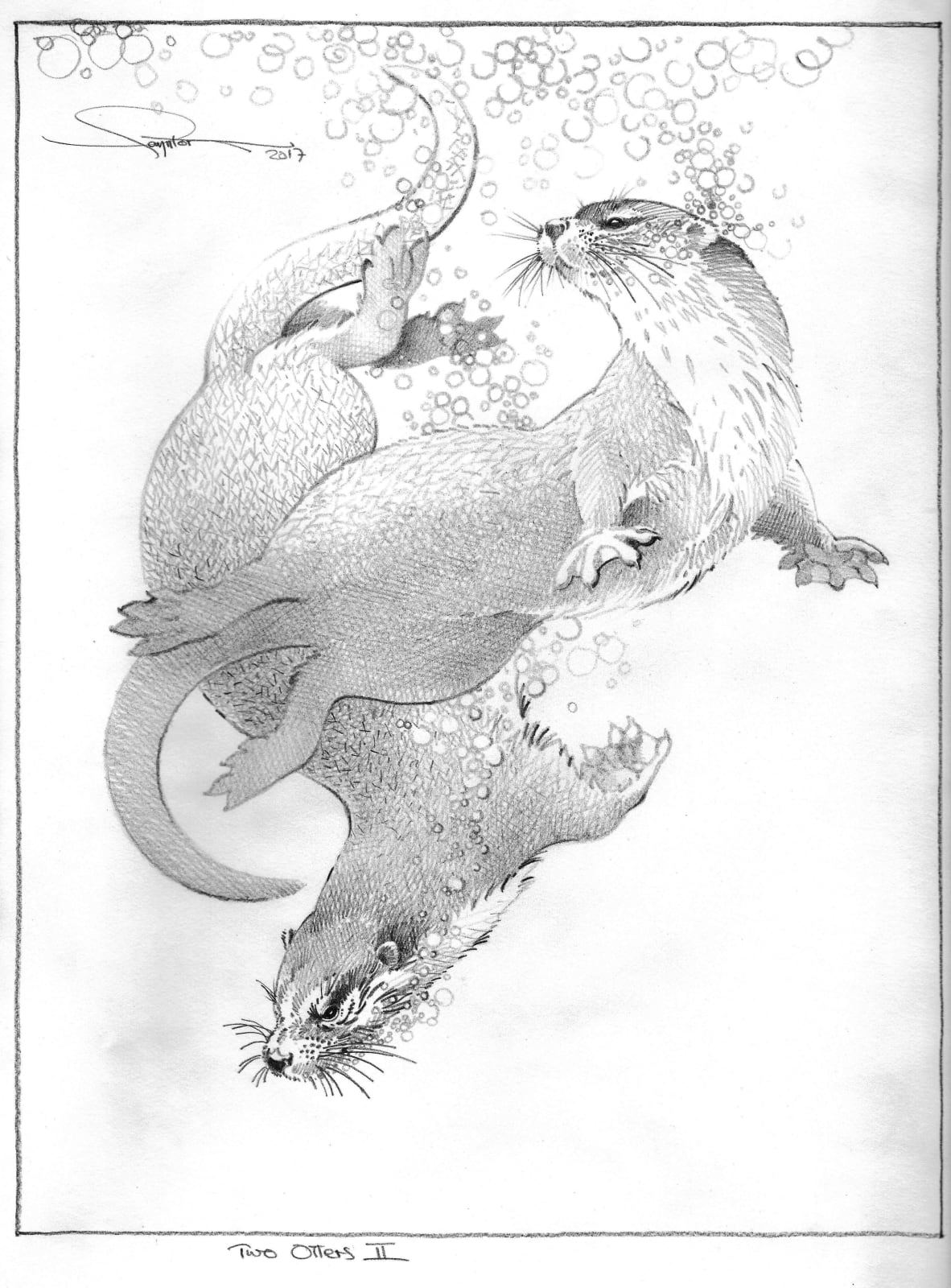 Colin See-Paynton, Two Otters II