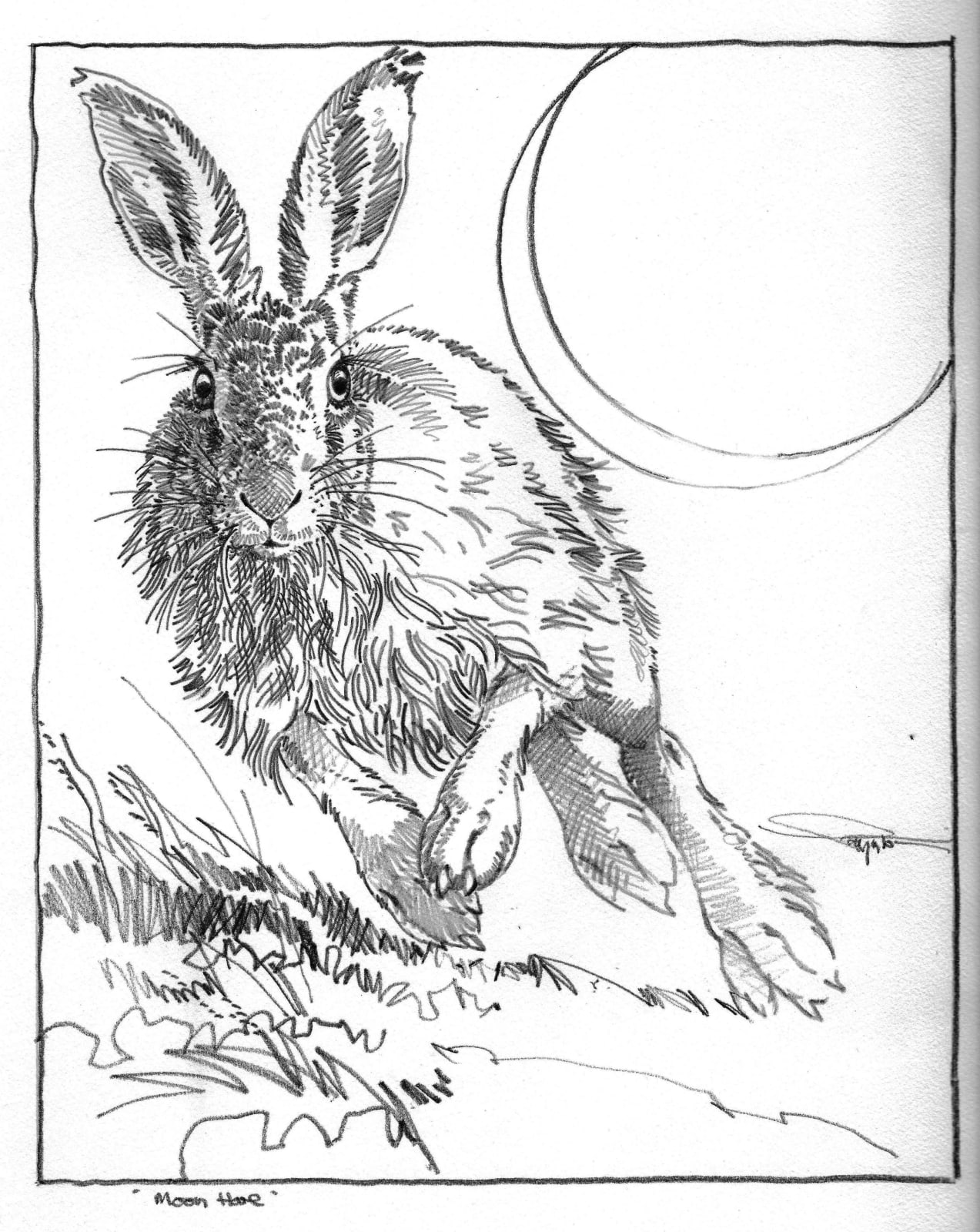 Colin See-Paynton, Moon Hare