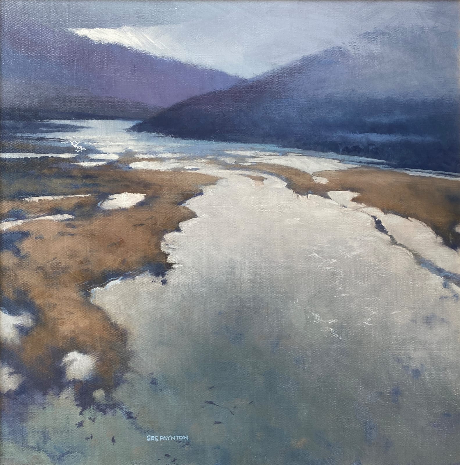 Colin See-Paynton, Ancient Waters II