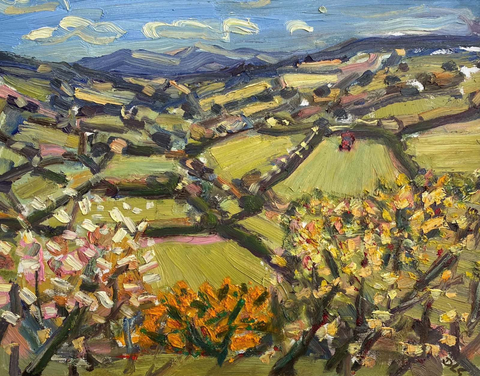 David Lloyd Griffith, Dyffryn Dulas - Spring Time